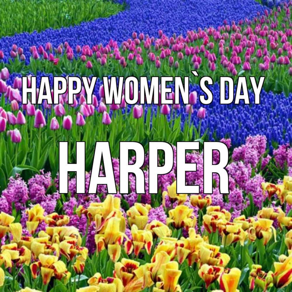 Greetings card с именем, Harper happy women`s day цветы Greetings with text for free download 